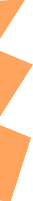 Orange vector decoration