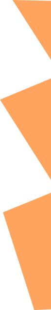 Orange vector decoration